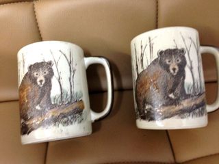 Glazed Stoneware Wildlife Grizzly Bear Ceramic Coffee Mugs,  (2)