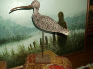 Hand Carved/painted Long - Billed Curlew Decoy,  On Base,  Eastern Shore Va,  Large