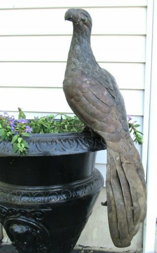 Large Vintage Brass Sergio Bustamante Style Macaw Parrot To Restore 24 "