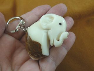 (tne - Ele - 716a) Lucky White Baby Elephant Tagua Nut Figurine Carving Keychain Key