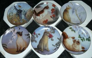 Set Of 6 Danbury Collector Plates Irene Spencer Cats And Flowers Series Mib