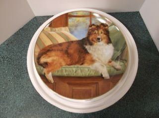 Luxury Seat Sheltie Dog Plate By The Danbury Shetland Sheepdog
