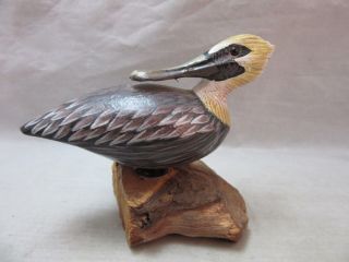 Hand Painted Pelican Bird Figurine On Drift Wood