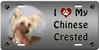 Chinese Crested - Hairless License Plate - Love