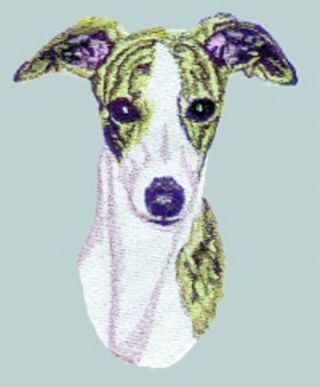 Whippet Dog,  Embroidered Patch 4.  8 " X 6 "