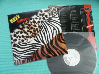 Kiss Promo White Label Lp Animalize 1st Press W/obi Insert Japan 28as - 250