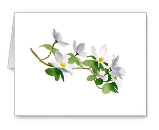 Dogwood Flowers Note Cards With Envelopes