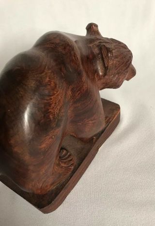 Hand Carved From (Sono) Iron Wood - - GRIZZLY BEAR - - Details 5