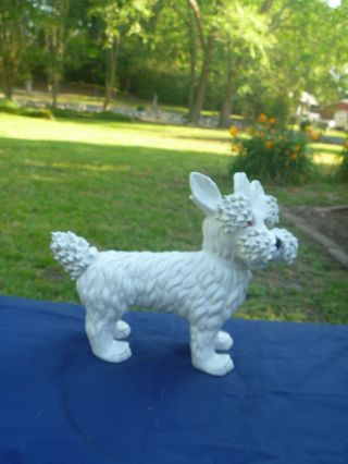 White Schnauzer Dog 10 " Figurine Italy Italian Curled Twisted Pottery Ceramic