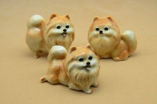 Adorable Pomeranian Family Set Of 3 Figurines They Are Adoroble