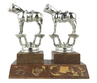 Two Vintage 1970s Equestrian Horse Horsemanship Horse Riding Trophies 5.  5 " Tall