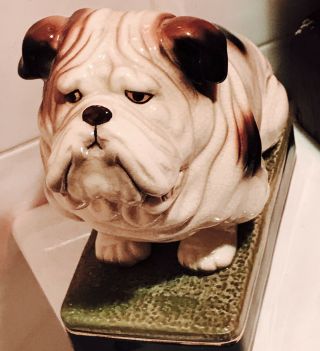 Vintage Rare Porcelain Ceramic - Shar - Pei - Boxer - Pug Dog Figure Takahashi Signed