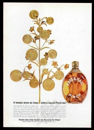 1963 Haig & Haig Pinch Scotch Whisky Tiffany Gold Coin Money Tree Photo Print Ad