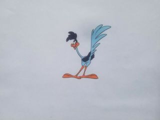 Road Runner Looney Tunes Hand Painted Animation Cel