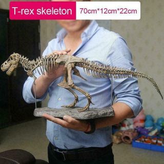 T Rex Tyrannosaurus Rex Skeleton Dinosaur Animal Collector Decor Model Toy G4b4