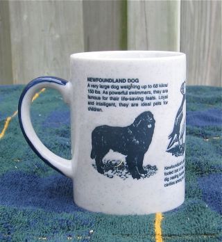 Newfoundland Dog Mug Dog,  Puffin,  Cabot Tower
