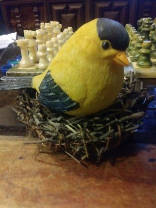 Carel Fabritius The Goldfinch Nest With 3 Eggs.  6 " X 3.  5 " Bird.  7 " Nest Handmade