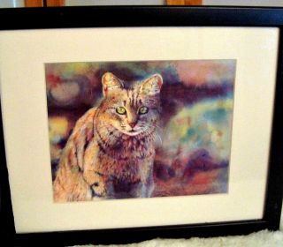 Dylan Scott Pierce " Tabby " Cat Watercolor Art Lithograph Framed Signed