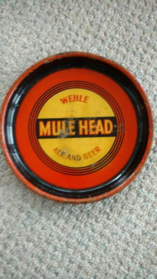 Wehle Mule Head Ale And Beer Tray,  Wehle Brewing Co.  West Haven,  Ct.  1930s