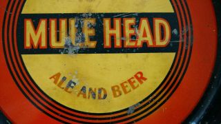 Wehle Mule Head Ale And Beer tray,  Wehle Brewing Co.  West Haven,  Ct.  1930s 2