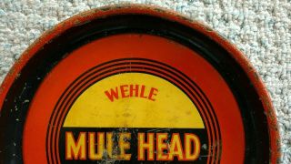 Wehle Mule Head Ale And Beer tray,  Wehle Brewing Co.  West Haven,  Ct.  1930s 4