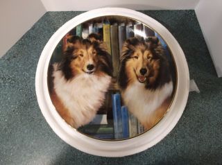 Bookends - Sheltie Dog Plate By The Danbury Shetland Sheepdog