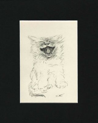 Cat Kitten 1946 Cute Matted Print By Lucy Dawson 8x10 Mat Laughing