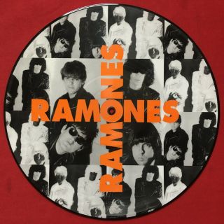 The Ramones Surfin 