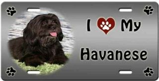 Havanese License Plate - Love