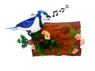 Unido Box Dancing Chirping Bird,  Horizontal Blue Jay Home Wall Decor Interactive