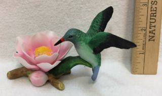 Hummingbird Figurine Flower Drinking Nectar Porcelain 3 