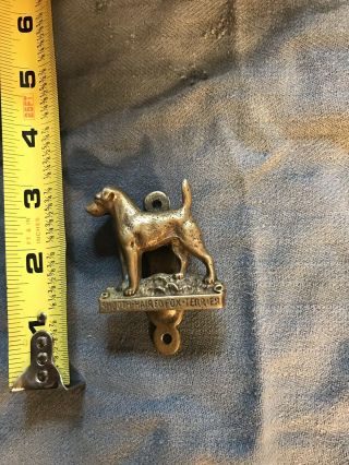 Smooth Fox Terrier Solo Door Knocker In Bronze