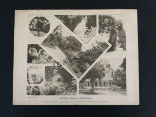 1890 Alameda Series Plate 53 Advertisement Artistic Homes Of California