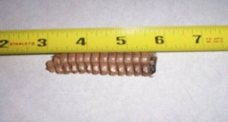 1 Rattlesnake Rattle,  1 Notch Less Than 3 Inches