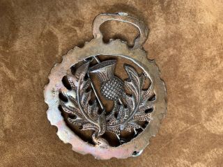 Antique Brass Horse Bridle Scottish Thistle Made In England Medallion Kilt Pin