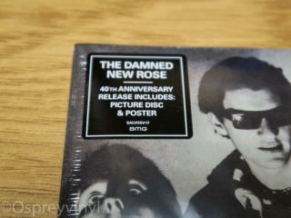 The Damned Rose Factory 7 