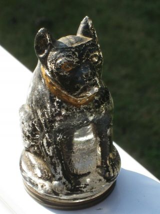 Ca.  1900 Bulldog Candy Container - Origional Paint And Tin Lid