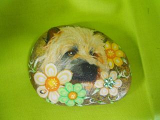 Norwich Terrier Dog Animal Decoupage Painted Rock Art Collectable
