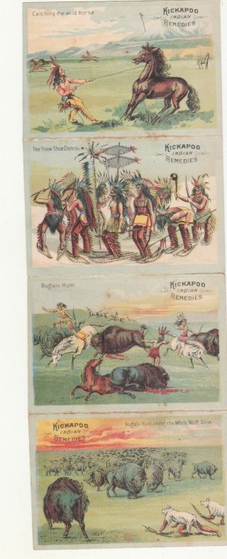 Kickapoo Indian Remedies Horses Sagwa Worm Killer Buffalo Card Panel C1880s