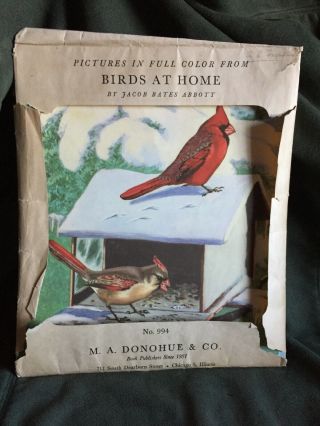 Vintage Bird Prints Folio " Birds At Home " By Jacob Bates Abbott No.  994
