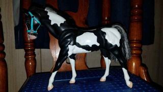 " Camouflage " Black Paint Feed Nuzzle Stallion Grand Champions Model Horse Pinto