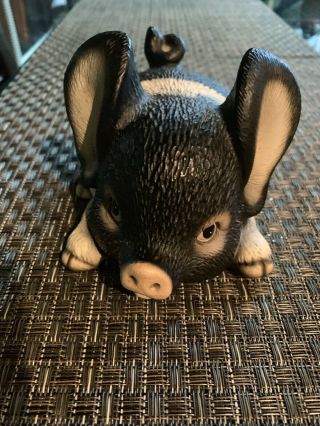Global Art Musical Hand Painted Pig 1983 From Japan 5