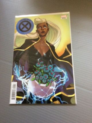 House Of X 2 Variant Storm Near Comics Buy It Now