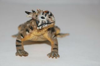 Safari Toys 2010 Horned Toad Lizard 5 Inches Long Very Realistic Life Size