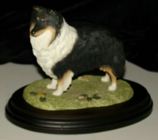 Shetland Sheepdog Hand Painted Figurine England Best Of Breed By Naturecraft