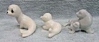 3 different white porcelain ceramic 4 