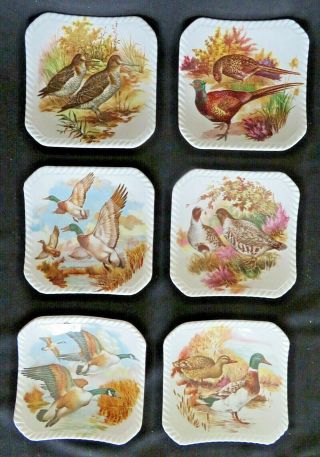 6 Royal Adderley Bone China Game Bird Ring Pin Dishes Coasters Tapas Butter Pats