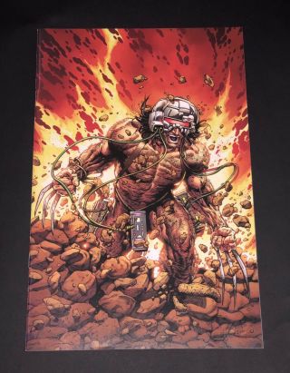 Return Of Wolverine 1 Steve Mcniven Virgin 1:600 Variant Nm Marvel Comics