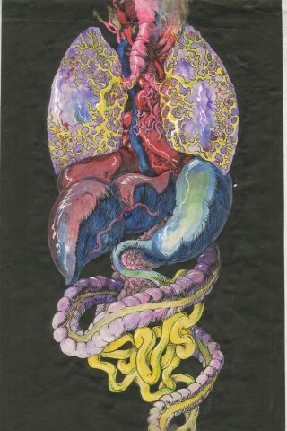 Weird And Gross Anatomy Fantasy Innards Guts Insides Medical Mystery Painting Oa