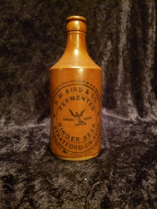 Antique Ginger Beer Bottle R.  M.  Bird & Co.  Stratford - On - Avon 7 " Stoneware